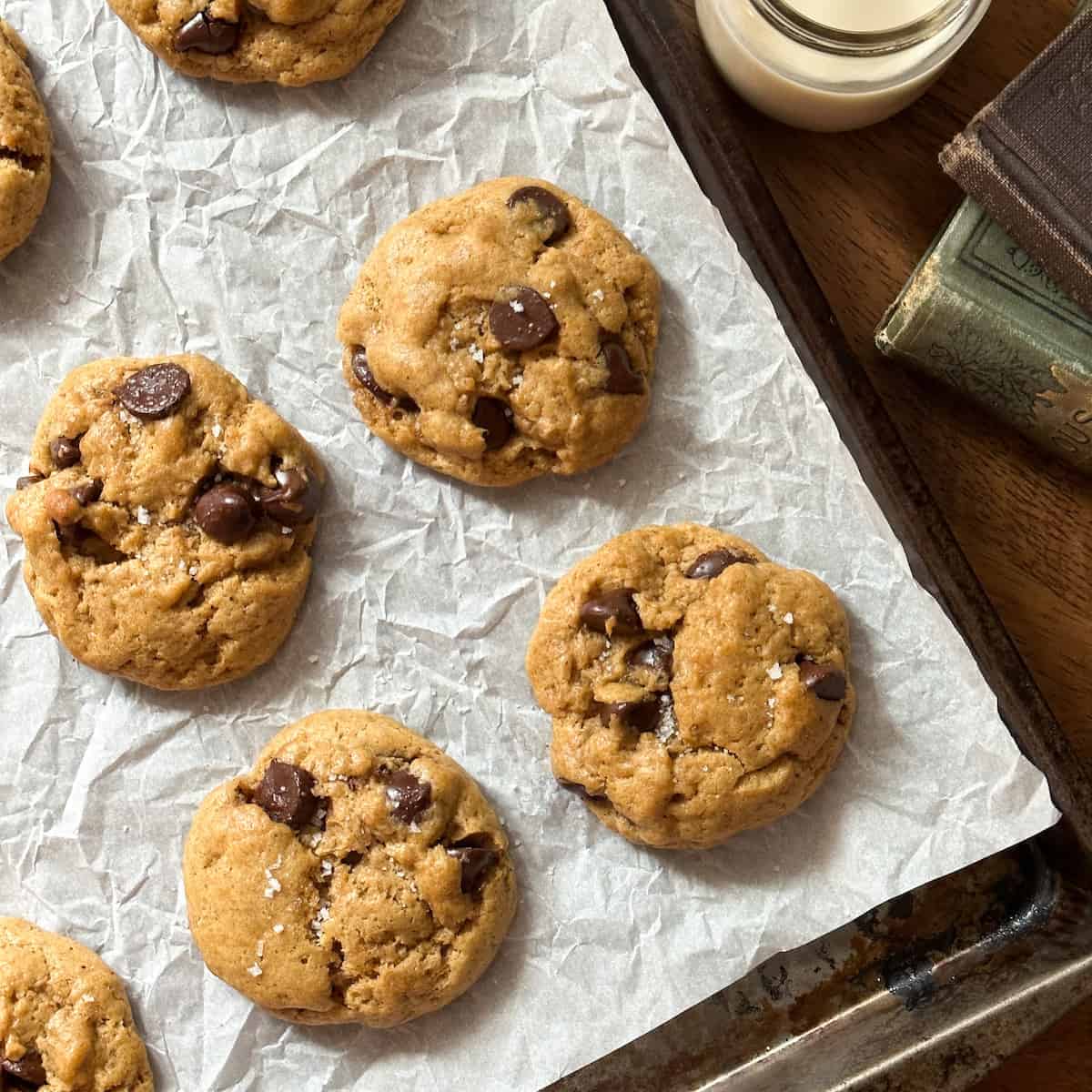 Sourdough Pumpkin Chocolate Chip Cookies - Foragers of Happiness