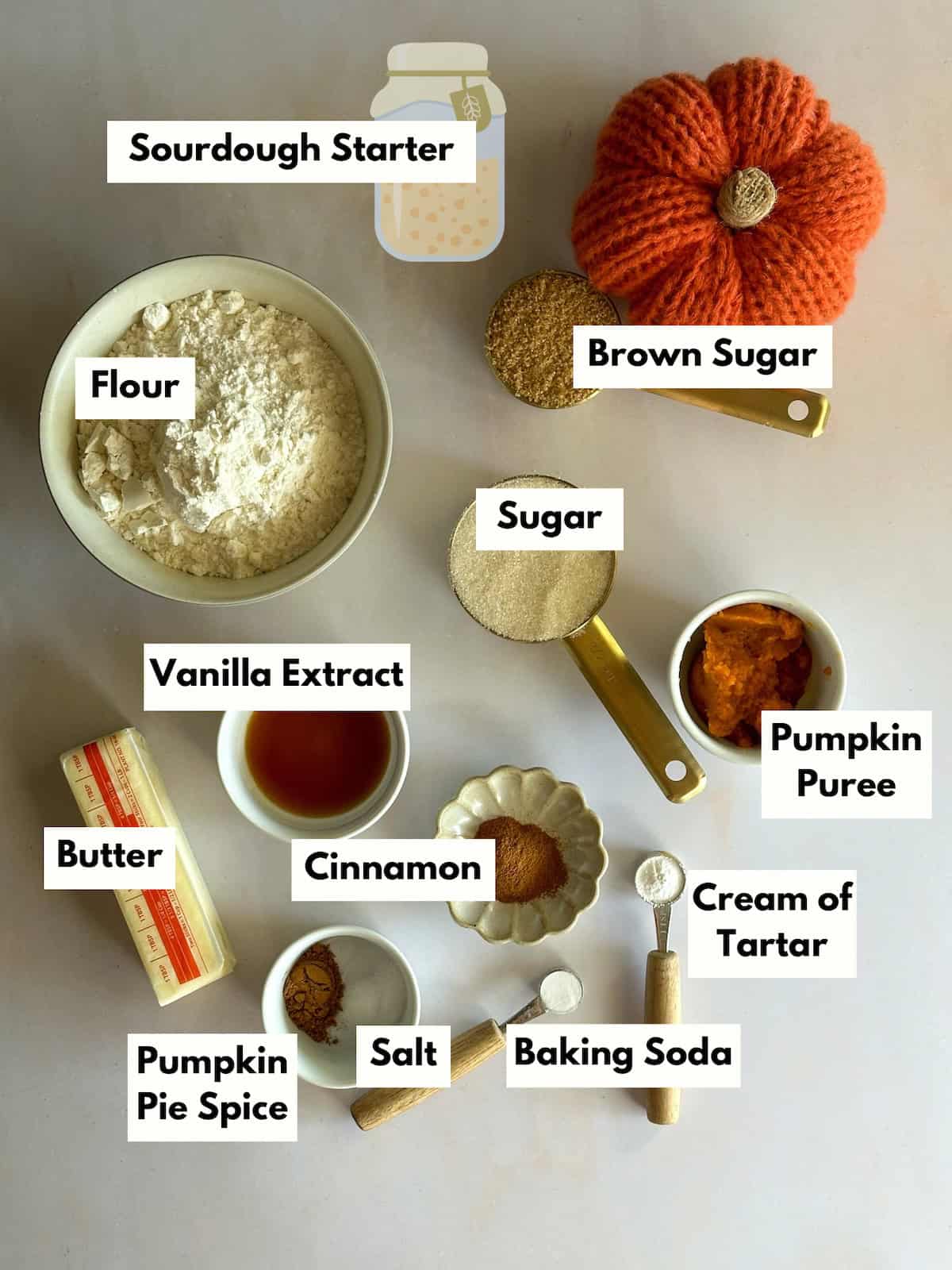 Pumpkin Sourdough Snickerdoodles - Foragers of Happiness