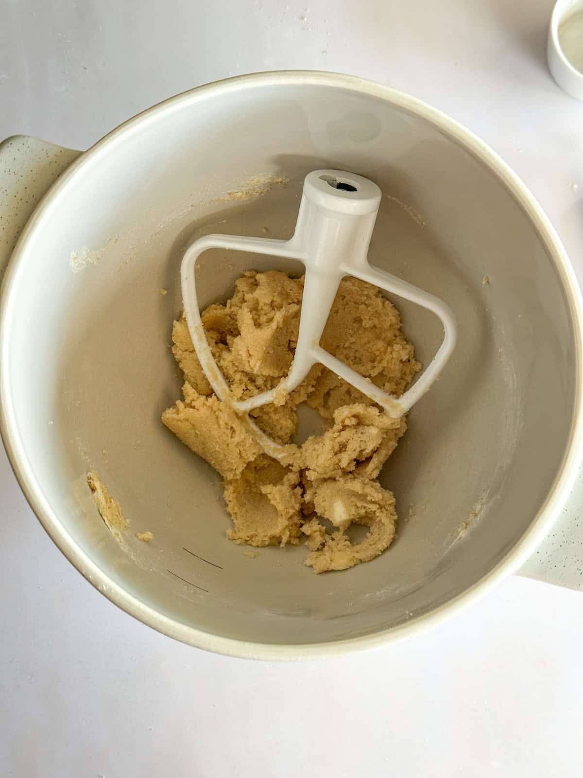 Pumpkin Sourdough Snickerdoodles - Foragers of Happiness