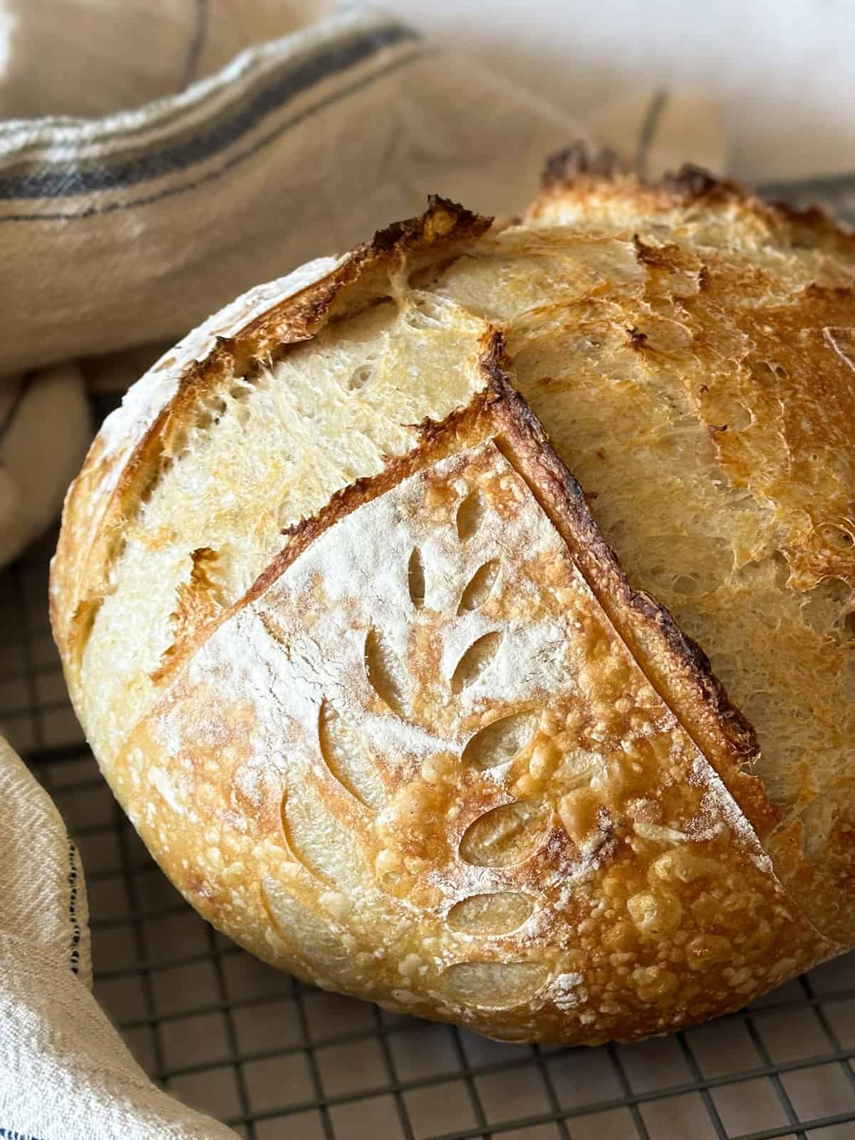 Quick Sourdough Bread Recipe Infoupdate