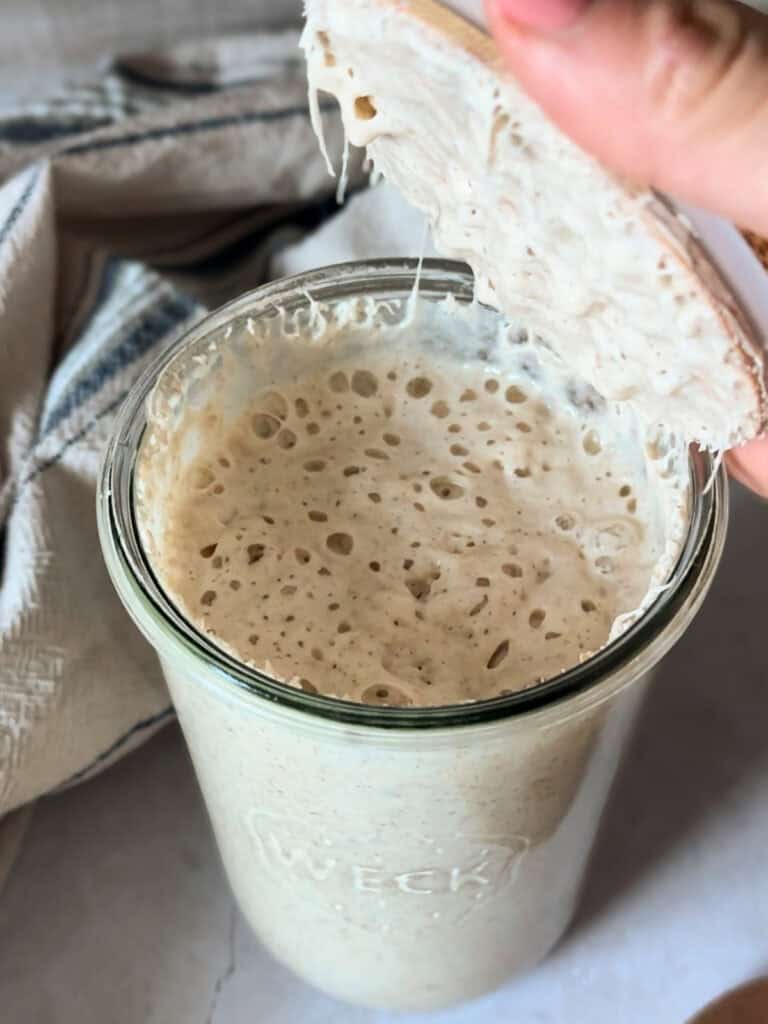 Sourdough Feeding Ratios A Comprehensive Guide Foragers Of Happiness
