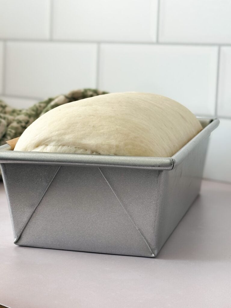 fully proofed sourdough discard sandwich bread dough in baking pan.