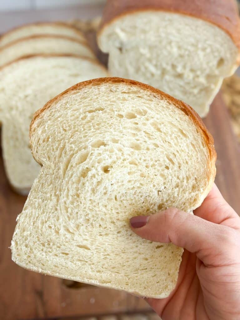 hand holding a slice of sourdough discard sandwich bread.